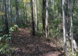 Tract 4 at The Caves at Callaway property photo