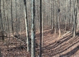 Tract 3 at The Caves at Callaway property photo