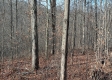 Tract 3 at The Caves at Callaway property photo