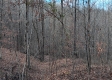 Tract 3 at The Caves at Callaway property photo
