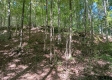 Tract 2 at The Caves at Callaway property photo