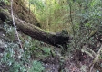 Tract 2 at The Caves at Callaway property photo