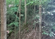Tract 2 at The Caves at Callaway property photo