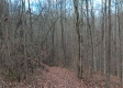 Tract 2 at The Caves at Callaway property photo