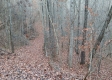 Tract 2 at The Caves at Callaway property photo
