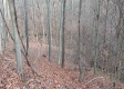 Tract 2 at The Caves at Callaway property photo