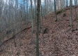 Tract 2 at The Caves at Callaway property photo