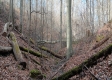 Tract 2 at The Caves at Callaway property photo