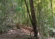 Tract 2 at The Caves at Callaway property photo
