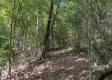 Tract 2 at The Caves at Callaway property photo
