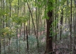 More of Tract 1 at The Caves at Callaway