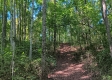 More of Tract 1 at The Caves at Callaway