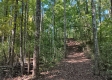 Tract 1 at The Caves at Callaway property photo