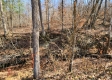 Tract 3 - The Woods at Blue Creek property photo