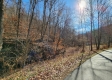 Tract 3 - The Woods at Blue Creek property photo