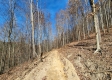 Tract 3 - The Woods at Blue Creek property photo