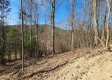 Tract 3 - The Woods at Blue Creek property photo