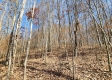 Tract 3 - The Woods at Blue Creek property photo