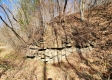 Tract 3 - The Woods at Blue Creek