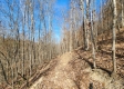 Tract 3 - The Woods at Blue Creek property photo