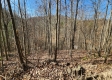 Tract 3 - The Woods at Blue Creek property photo