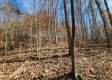 Tract 3 - The Woods at Blue Creek property photo