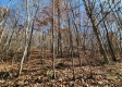 Tract 3 - The Woods at Blue Creek property photo