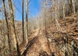 Tract 3 - The Woods at Blue Creek property photo