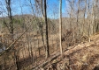 Tract 3 - The Woods at Blue Creek property photo