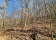 Tract 3 - The Woods at Blue Creek property photo
