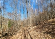 Tract 3 - The Woods at Blue Creek property photo
