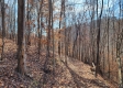 Tract 3 - The Woods at Blue Creek property photo
