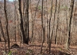 Tract 3 - The Woods at Blue Creek property photo