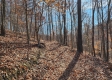 Tract 3 - The Woods at Blue Creek property photo