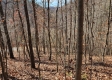 Tract 3 - The Woods at Blue Creek property photo