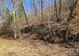 Tract 3 - The Woods at Blue Creek property photo