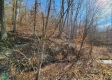 Tract 3 - The Woods at Blue Creek property photo