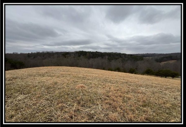 Tract 1 Glade Run property photo