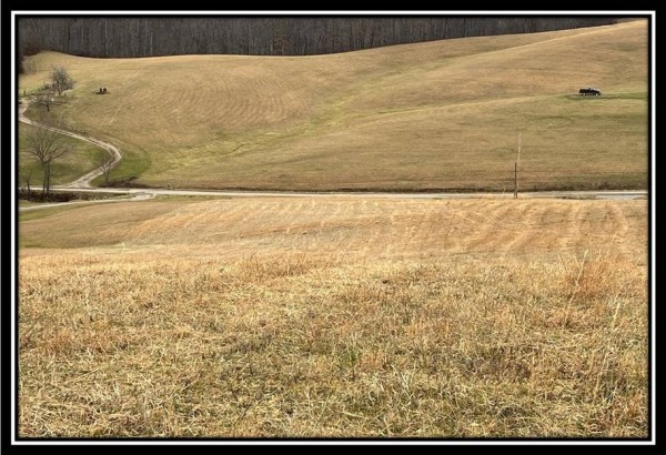 More of Tract 1 Glade Run