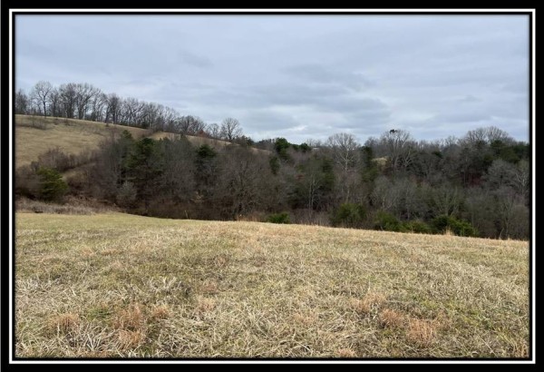 Tract 2 - Glade Run property photo