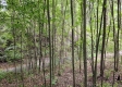 Tract 2 - Perry Ridge property photo