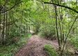 Tract 2 - Perry Ridge property photo