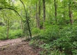 Tract 2 - Perry Ridge property photo