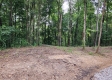 More of Tract 2 - Perry Ridge