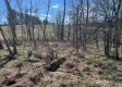 Tract 2 – The Cave on Chase Road property photo