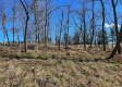 Tract 2 – The Cave on Chase Road property photo