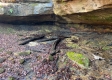 Tract 2 – The Cave on Chase Road property photo