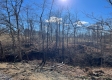 Tract 3 – McGrath Rd & Chase Rd property photo