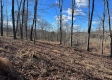 Tract 3 – McGrath Rd & Chase Rd property photo