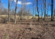 More of Tract 3 – McGrath Rd & Chase Rd